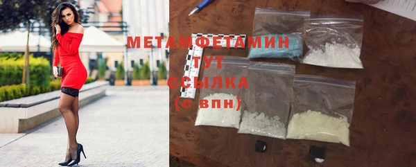 индика Горняк