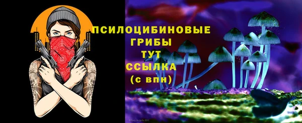 амф Балахна
